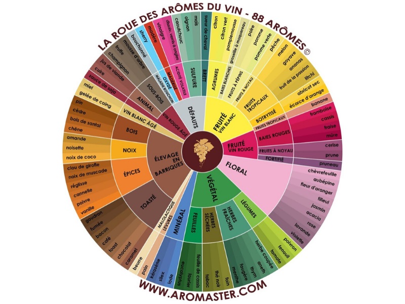 Curso de Inicia��o ao Vinho - A Degusta��o